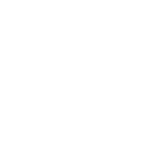 symfony1-icon